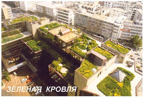 Сад на крыше - европейский опыт